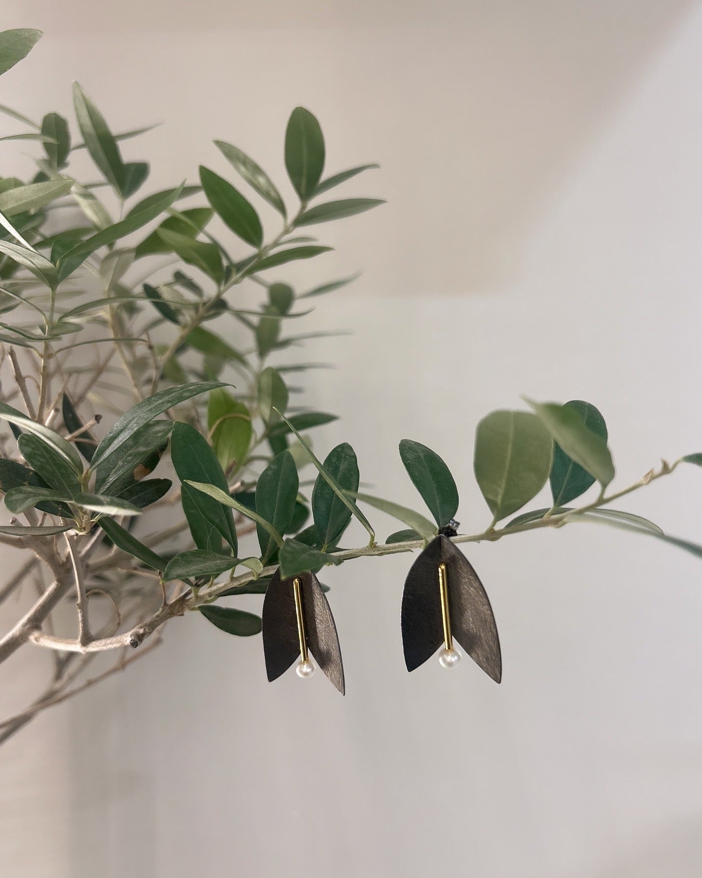 Cercei Olive